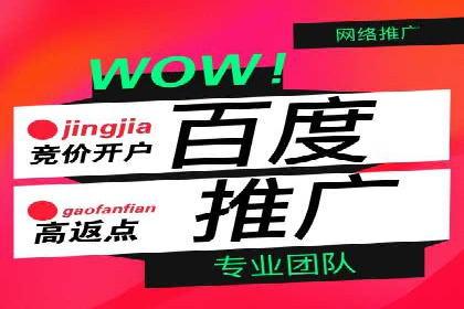 行业领先企业的百度推广托管经验分享